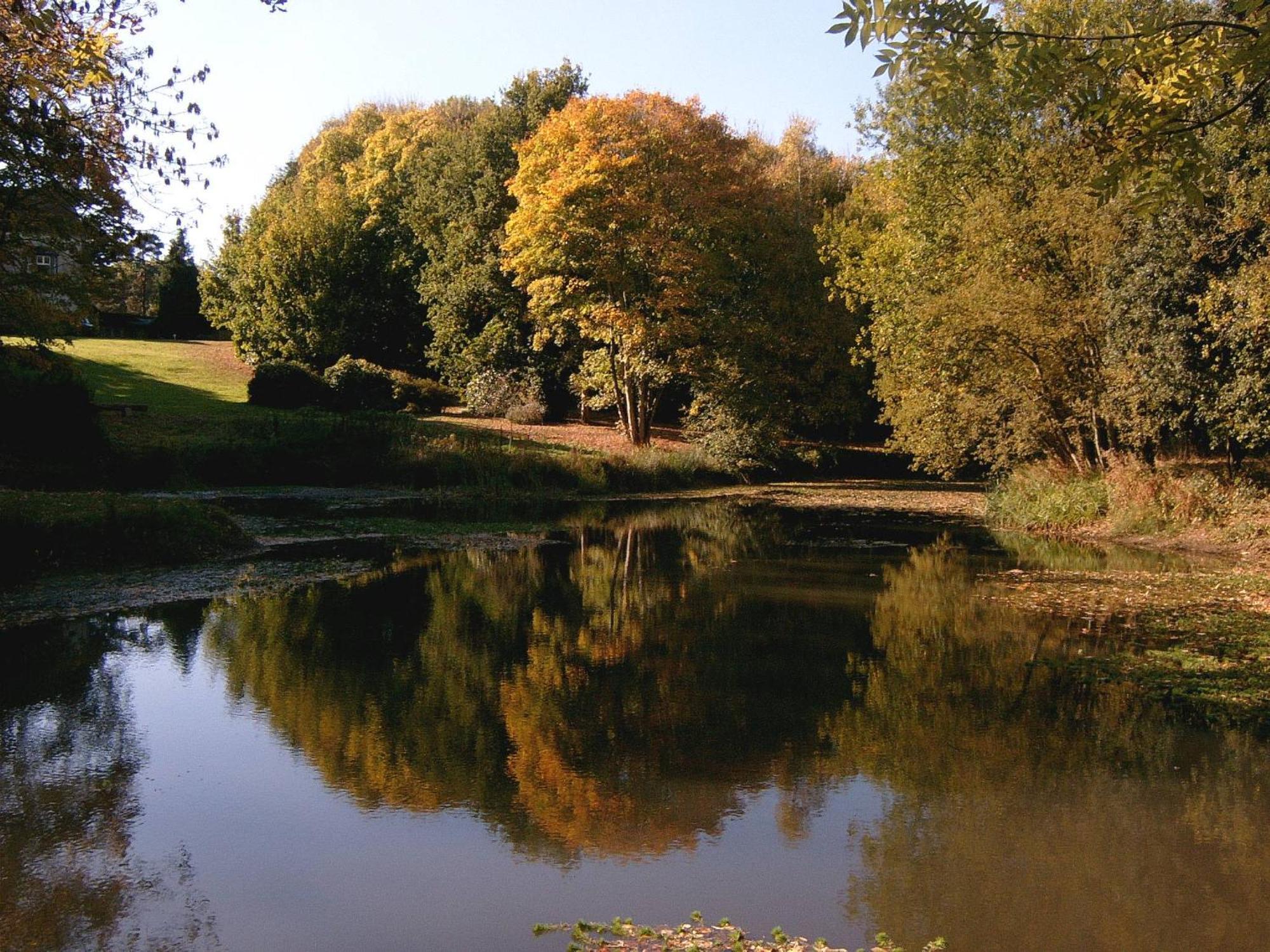 Glyndley Manor Cottages Поулгейт Екстериор снимка